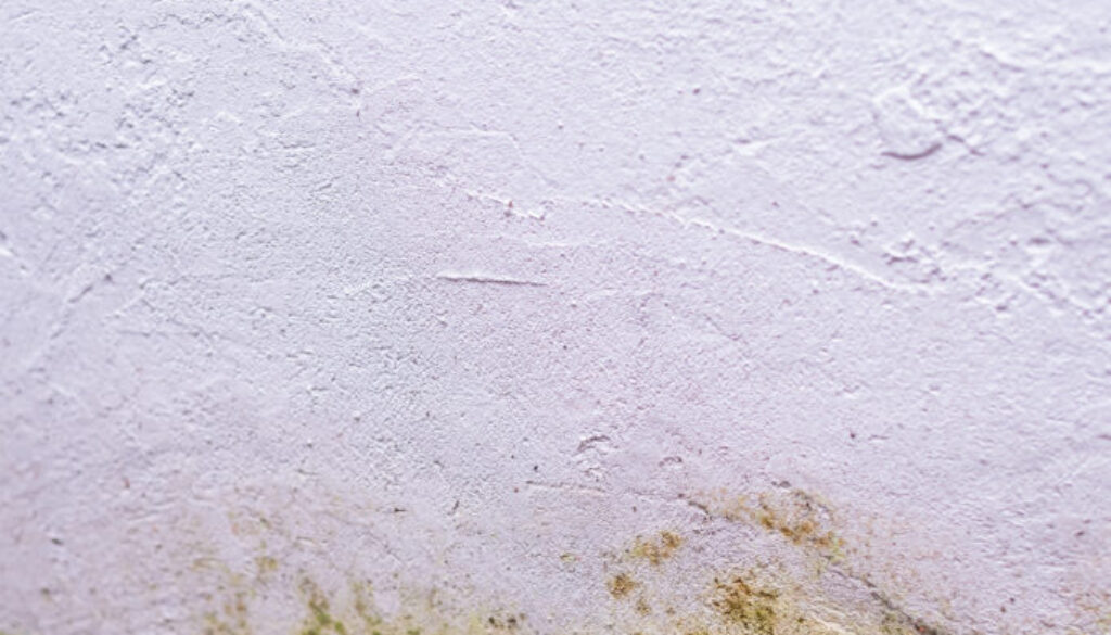 Photo of wall texture pattern Photo of wall texture pattern