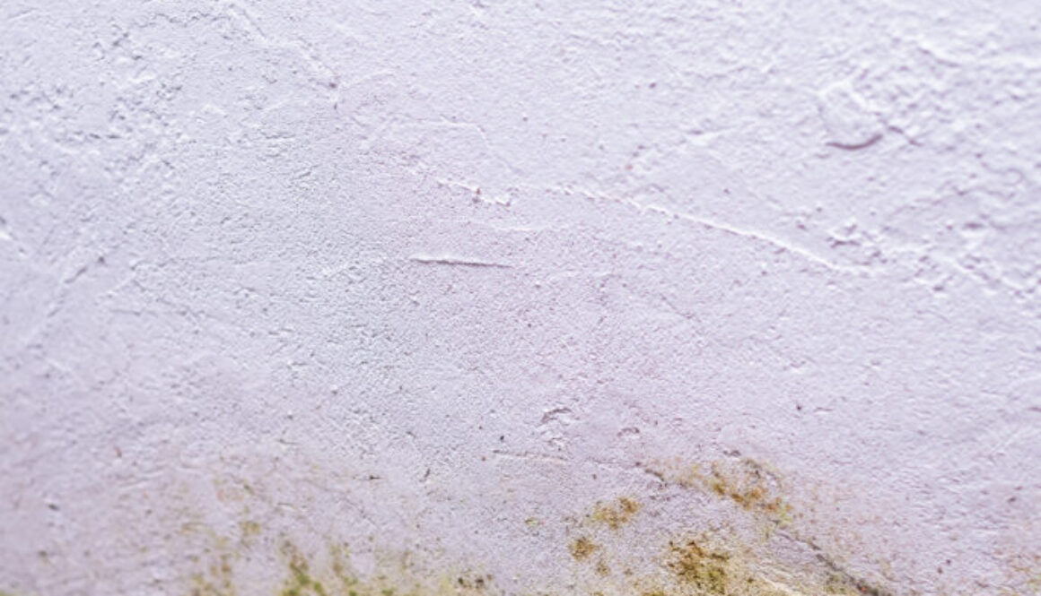 Photo of wall texture pattern